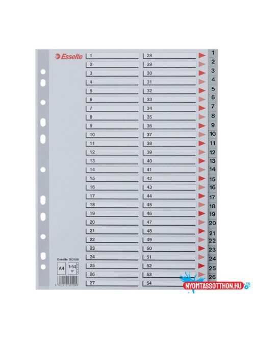Esselte Műanyag regiszter 1-54, A4
