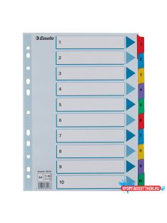 Esselte MYLAR regiszter 1-10, A4