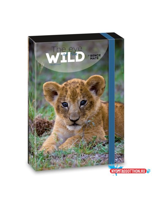 Ars Una Máté Bence The Eyes of the Wild - Lion A/4 füzetbox