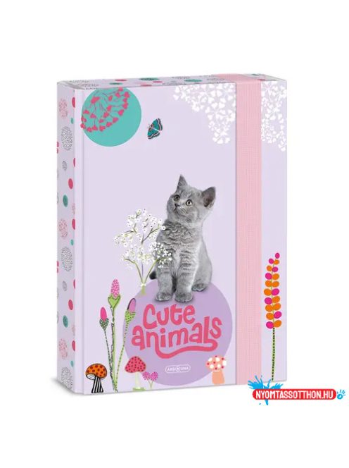 Ars Una Cute Animals-Kitten A/5 füzetbox