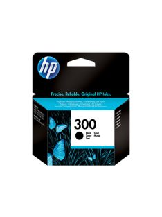 HP CC640EE Patron Black No.300 (Eredeti)