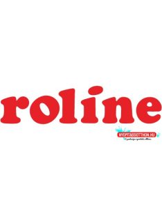 Roline USB3.1 - Gigabit LAN Ethernet konverter